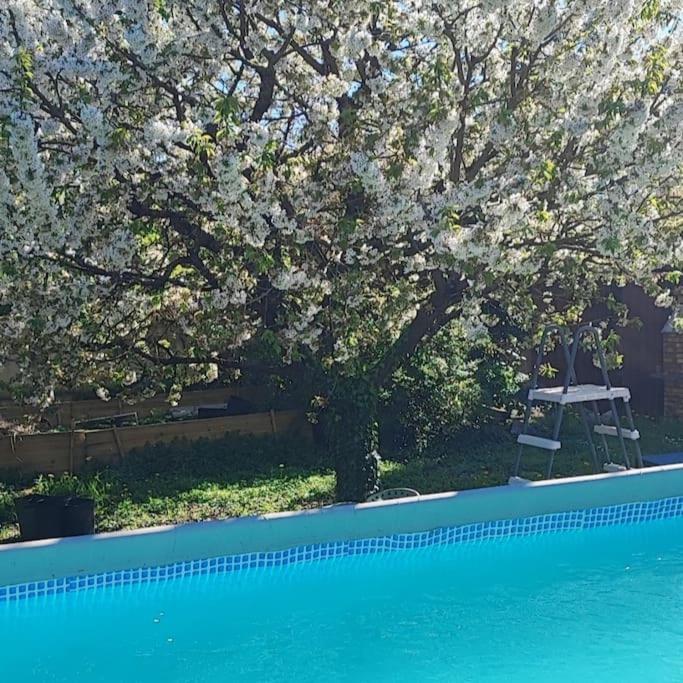 Havre De Paix Villa Corbeil-Essonnes Eksteriør bilde